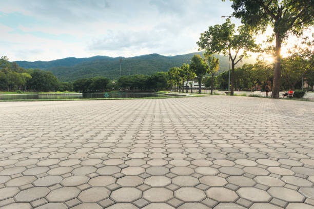 Best Decorative Driveway Pavers  in Waxhaw, NC