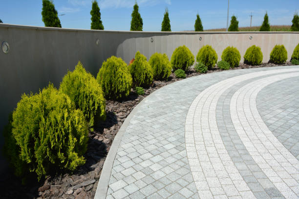 Best Residential Paver Driveway  in Waxhaw, NC